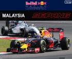 Max Verstappen, tweede in de Grand Prix van Maleisië 2016 met zijn Red Bull, de vijfde podium van zijn carrière in de F1