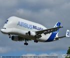 De Airbus A300-600ST Beluga is een vrachtvliegtuig, gespecialiseerd in overmaatse ladingen