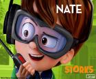 Nate, Ooievaars