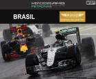Nico Rosberg, Grand Prix van Brazilië 2016