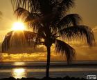 Zonsondergang, Palm