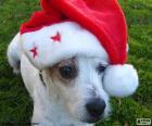 Hond van Kerstmis