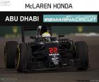 Jenson Button Britse chauffeur tijdens zijn deelname aan de Grand Prix van Abu Dhabi 2016, loodsen zijn McLaren