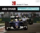 Marcus Ericsson, Grand Prix van Abu Dhabi 2016