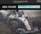 Nico Rosberg, Grand Prix van Abu Dhabi 2016