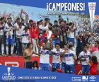 Club Deportivo Universidad Católica, kampioen van Opening tournament 2016, van de eerste divisie Chileense voetbalclub