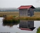 Eenzame schuur naast het water in een dag van mist