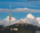 Over het algemeen kijk Tibidabo, de Sagrat Cor-kerk, het Tibidabo pretpark en de Torre de Collserola, Barcelona