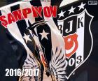 Besiktas JK is de kampioen van de Süper Lig 2016-2017, haar 15de landstitel