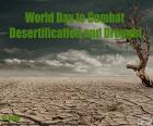 Werelddag van de strijd tegen woestijnvorming