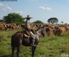 Gaucho te paard