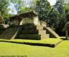 Seibal was een Maya stad in het stroomgebied van de rivier La Pasion. Structuur-A-3 is een platform van de tempel gelegen in het centrum van de Zuid-plaza, Guatemala