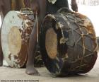 Afrikaanse drums