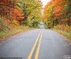 Herfst weg