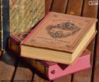 Afbeelding van oude boeken voor lezing
