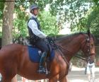 Londen politie te paard