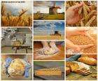 Collage van brood