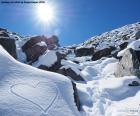 Hart in de sneeuw