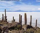 De salar de Uyuni is dat de grootste woestijn van zout in de wereld gelegen op 3650 meter boven de zeespiegel, met een oppervlakte van 10582 km², Bolivia