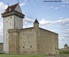 De Hermansburcht ook wel bekend als het Kasteel van Narva is een kasteel uit de 14e eeuw, gelegen in Narva, aan de oevers van de rivier de Narva, Estland