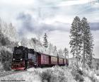 Winter trein