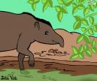 Een tapir is een dier van maat medium van oorsprong uit Zuid-Amerika en Azië. Tekening van Julieta Vitali