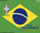 Brazilië, kampioen van Copa America 2019