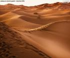 Woestijn van Marokko