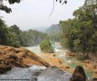 Cataratas de Agua Azul, Mexico