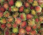 De vruchten van Rambutan, worden geboren in clusters en hebben een sappige witte pulp