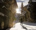 Toerskiën is een discipline van de winter bergbeklimmen bestaande uit het beklimmen en dalen van bergen met de enige hulp van ski's, zonder enige mechanische voortstuwing