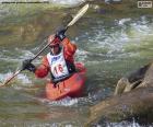 Wildwater kanoën is een discipline van concurrerende kanoën die bestaat uit het maken van een stuk van enkele kilometers van de natuurlijke rivier in de kortst mogelijke tijd