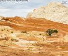 Red Rock State Park, USA