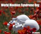 24 januari Wereld Moebius Syndrome Day, een complexe anomalie gekenmerkt door gezichtsverlamming en het onvermogen om de ogen lateraal te bewegen. Het werd beschreven door Paul Julius Muebius in 1884