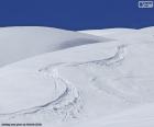De sporen van de ski in de sneeuw