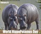 Wereld HippoPotamus Dag