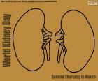 Tweede donderdag in maart Wereldnierdag, bewustwording van het ernstige probleem van nierziekten