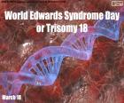 18 maart World Edwards Syndrome Day of Trisomy 18, een genetische aandoening waarbij een persoon een derde kopie van chromosoom 18 materiaal heeft, in plaats van de 2 normale kopieën