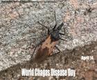 Wereld Chagas Disease Day