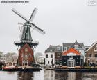 Adriaan Mill, Haarlem, Nederland