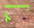 Lyme Ziekte Bewustzijnsdag