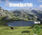 Europese Dag van de Parken