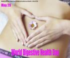 World Digestive Health Day, 29 mei. Om het publiek bewust te maken van de noodzaak om gezonde leefgewoonten aan te nemen, ook op het gebied van voeding