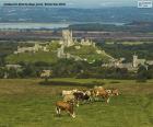 Corfe Castle, Engeland