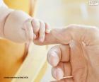 Baby pakt de vinger van zijn vader op