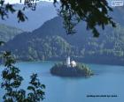 Het meer van Bled is een van de mooiste en meest toeristische meren in Slovenië. Het meer omringt het eiland Bled, met een kerk, gebouwd in de vijftiende eeuw.