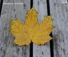 puzzel Geelachtig blad in de herfst