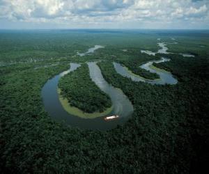 puzzel Rio Amazonas, in het complexe instandhouding van Midden-Amazone, Brazilië