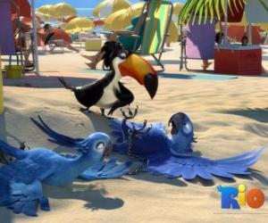 puzzel Rio de film met drie van haar protagonisten: de ara's Blu, Jewel en de toekan Rafael op het strand