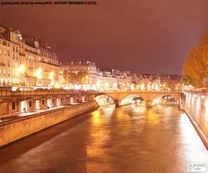 puzzel Rivier de Seine in de nacht, Parijs